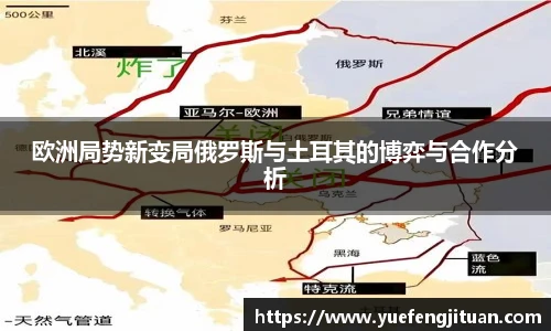 欧洲局势新变局俄罗斯与土耳其的博弈与合作分析